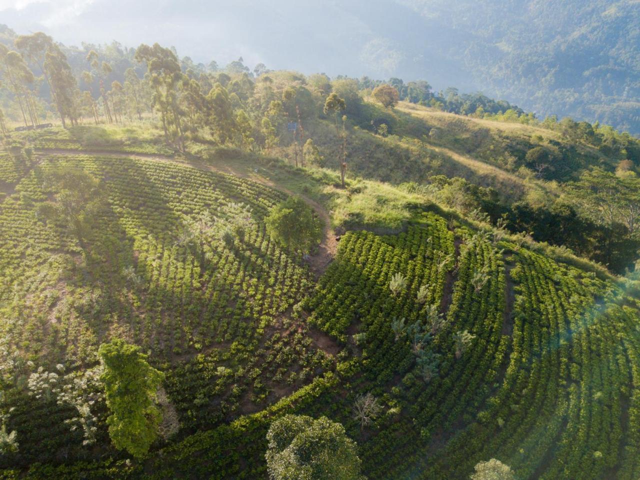 Mount Havana Kandy Dış mekan fotoğraf