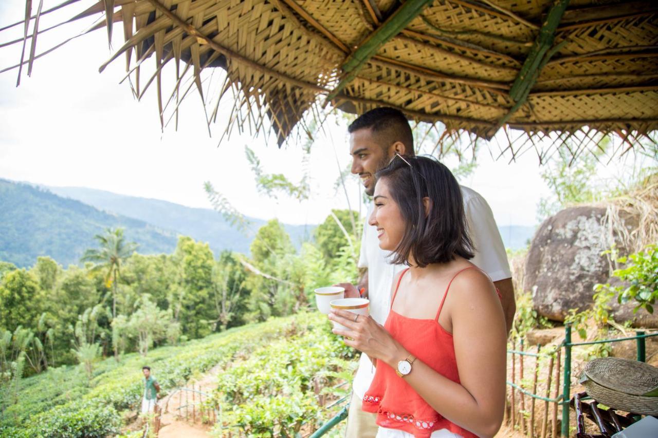 Mount Havana Kandy Dış mekan fotoğraf